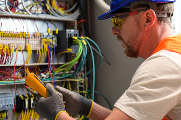 Best Electric Panel Repair  in Wiggins, CO